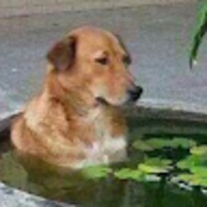 Meet your Posher, Ricardo